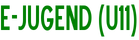 E-Jugend (U11)